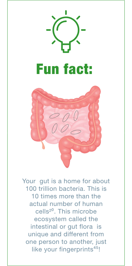 healthy gut flora